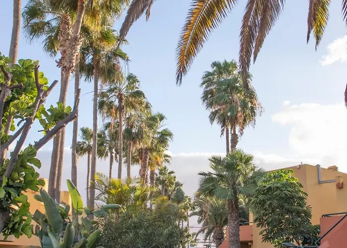 公寓 Atlantic Garden & Surf 164 科拉雷侯